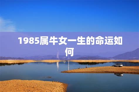 1985年是什么命|1985年出生的人是什么命